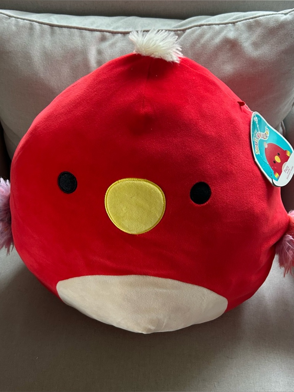 Paco the Parrot is a bright red Squishmallow on numerous squads 14 inches